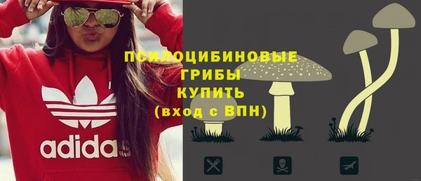 мескалин Горнозаводск